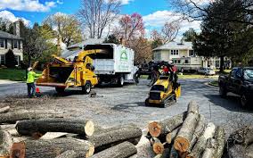 Best Tree Risk Assessment  in Liberty, PA