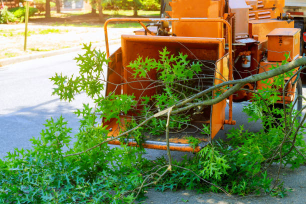 Best Seasonal Cleanup (Spring/Fall)  in Liberty, PA